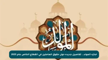 إجازة المولد.. تفاصيل جديدة حول حقوق العاملين في القطاع الخاص عام 2025